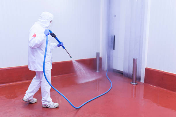 Trusted Grant City, MO Pressure Washing Services Experts